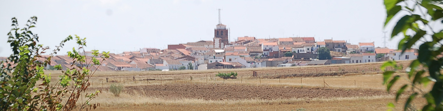 Bienvenida a nuestra web